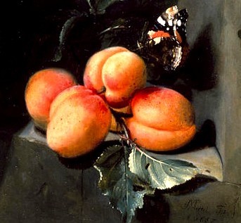 Apricots